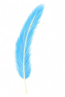 一根蓝色羽毛