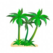 绿树绿色的椰汁树