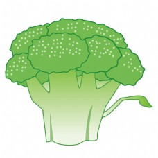绿色蔬菜日常绿色花菜