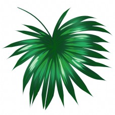 SPA插图创意热带植物绿叶插图