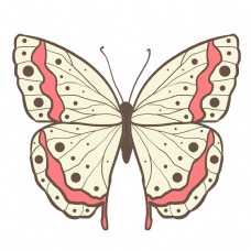 动物昆虫蝴蝶