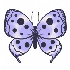动物昆虫蝴蝶蓝色