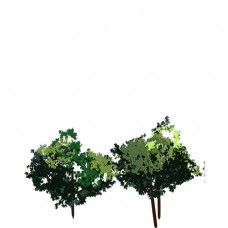两颗树木免扣图