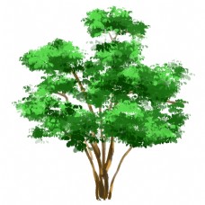 小清新森林绿树