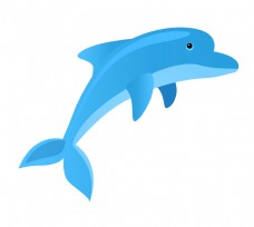 海豚海洋生物