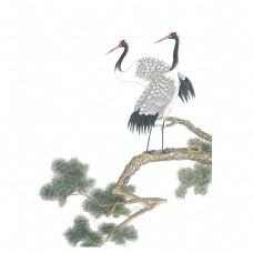 美国古典中国风唯美白鹤