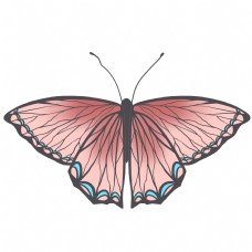 昆虫蝴蝶可爱手绘