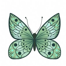 昆虫蝴蝶绿色