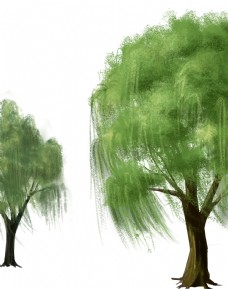 树木柳树图案