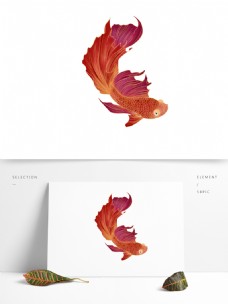 手绘一条红色锦鲤动物设计