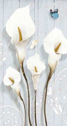 水珠素材白色花朵马蹄莲玄关背景