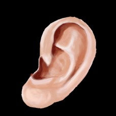 PSD五官耳朵素材
