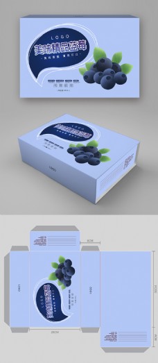 简约小清新蓝莓水果包装盒设计