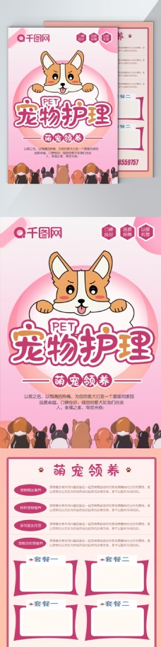 家犬粉色宠物护理宠物主题宣传单
