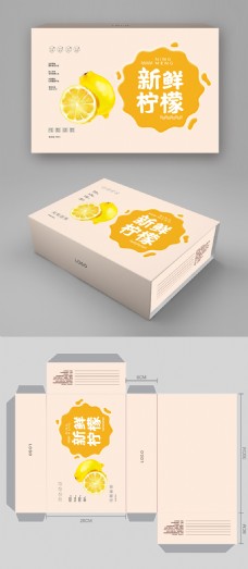 简约小清新柠檬水果包装设计