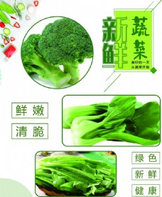 健康蔬菜新鲜蔬菜无添加剂绿色健康