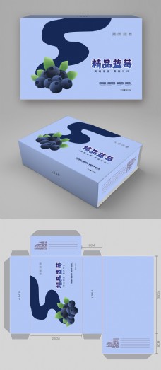简约大气蓝莓水果包装礼盒设计