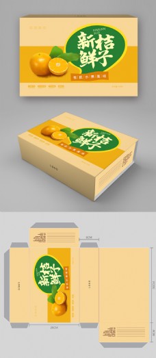 简约大气桔子水果包装礼盒设计