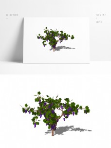 3d葡萄树葡萄藤模型