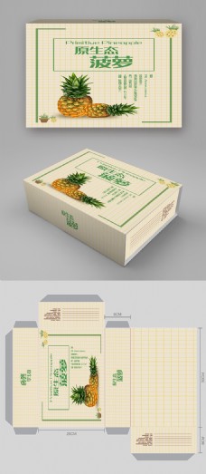 水产品菠萝水果产品包装盒北欧简约风包装设计