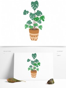 盆栽植物卡通茂盛的植物盆栽设计