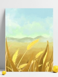 金秋小麦天空背景