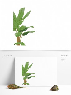 绿树绿色香蕉树图案元素