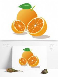 矢量橙子水果夏天素材必备