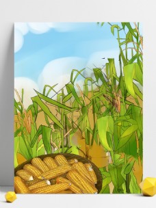 夏季农忙时节收玉米背景设计