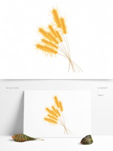 手绘小麦芒种元素设计