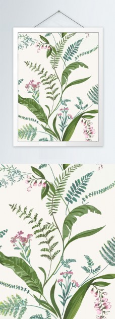 植物花卉彩色装饰画
