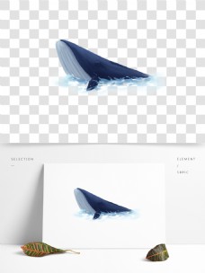 手绘海洋里的鲸鱼设计元素