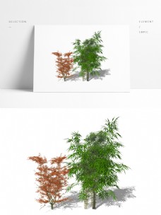 两棵竹叶树su模型