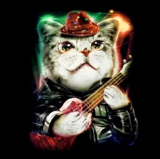 弹小提琴的猫