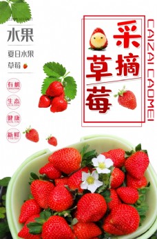 有机水果草莓采摘海报