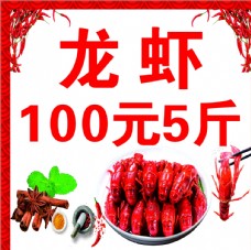 龙虾  100元5斤
