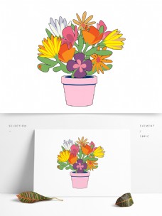 三色堇波斯菊盆花