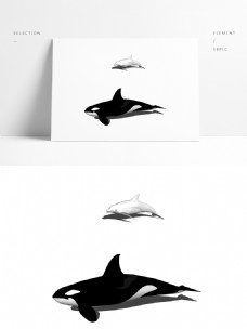 海洋动物模型两个