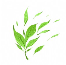 鲜榨果汁菜单绿茶卡通插画