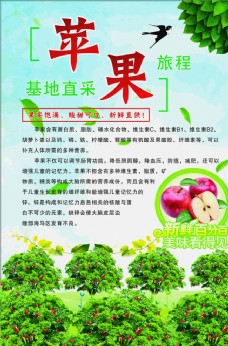 绿色叶子苹果园海报