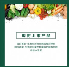 上海市蔬菜海报上市