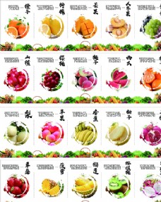 蔬菜水果水果蔬菜简介