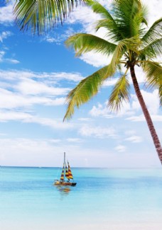 清凉一夏椰子树沙滩船帆