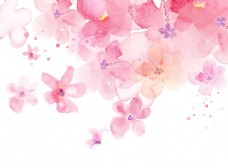 樱桃园花朵背景