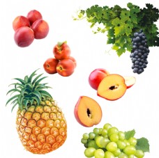 进口蔬果水果