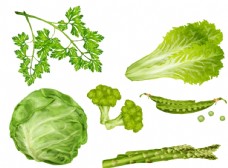 绿色蔬菜蔬菜水果