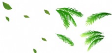 树木手绘绿色创意椰子叶子