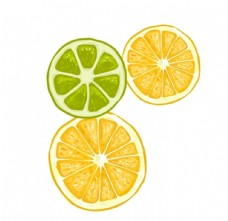 画册设计柠檬片