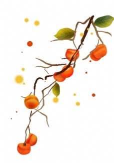 红色花朵水墨柿子插画