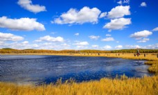 七星湖湿地唯美清新的自然风景